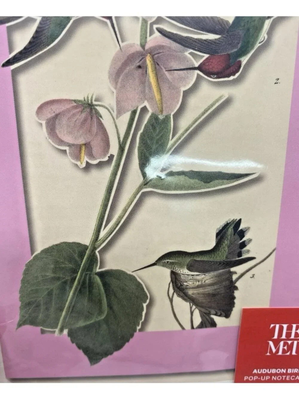 Metropolitan Museum of Art Audubon Birds Pop Up Notecards & Envelopes Set 8